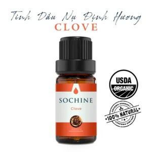 Tinh dầu nụ đinh hương Clove Sochine