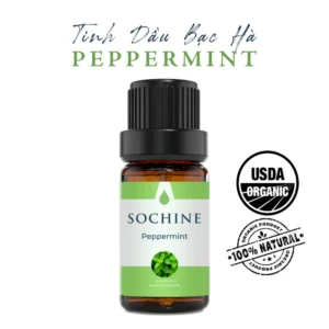 tinh dầu bạc hà peppermint Sochine