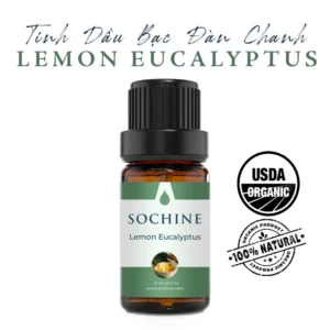 tinh dầu bạch đàn chanh Lemon Eucalyptus Sochine