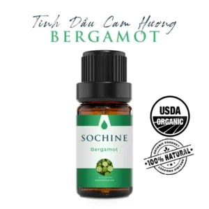 Tinh dầu cam hương Bergamot Sochine