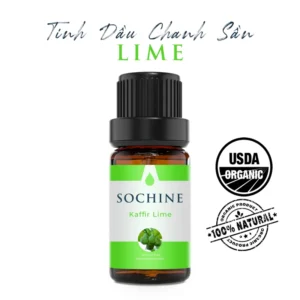 Tinh dầu chanh sần (Kaffir Lime) Sochine