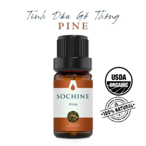 Tinh dầu gỗ thông Pine Sochine