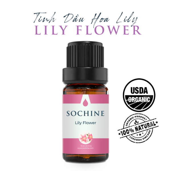 Tinh dầu hoa Lily Sochine