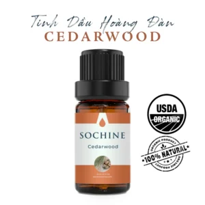 Tinh dầu hoàng đàn Cedarwood Sochine