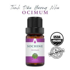 Tinh dầu hương nhu Ocimum Sochine