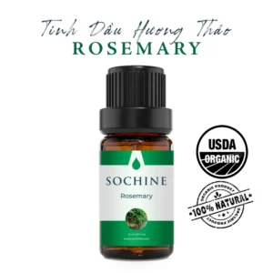 Tinh dầu hương thảo Rosemary Sochine