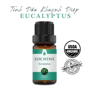 Tinh dầu khuynh diệp Eucalyptus Sochine