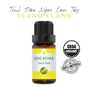 Tinh dầu ngọc lan tây ylang ylang Sochine