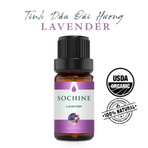 Tinh dầu oải hương Lavender Sochine