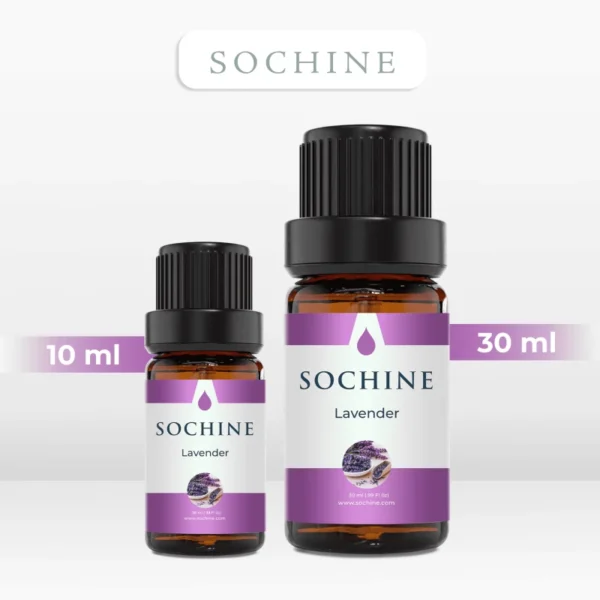 Tinh dầu oải hương Lavender Sochine 30ml