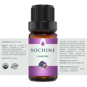 Tinh dầu oải hương Lavender Sochine thông tin