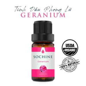 Tinh dầu hoa phong lữ Geranium Sochine