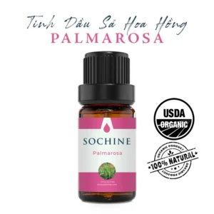 Tinh dầu sả hoa hồng Palmarosa Sochine