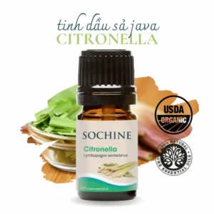 Tinh Dầu Sả Java Citronella