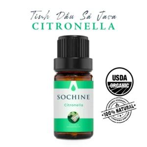 Tinh dầu Sả Java (citronella) Sochine