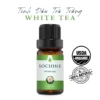 tinh dầu trà trắng white tea sochine