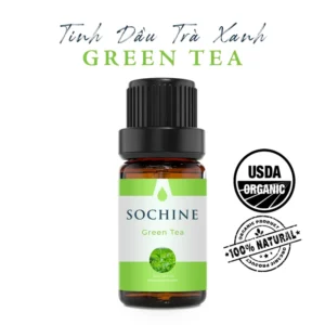 Tinh dầu trà xanh Green Tea Sochine