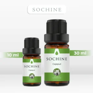 Tinh dầu tràm gió Cajeput Sochine 30ml