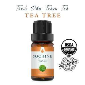 Tinh dầu tràm trà tea tree Sochine