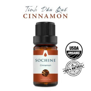 Tinh dầu vở quê cinnamon Sochine