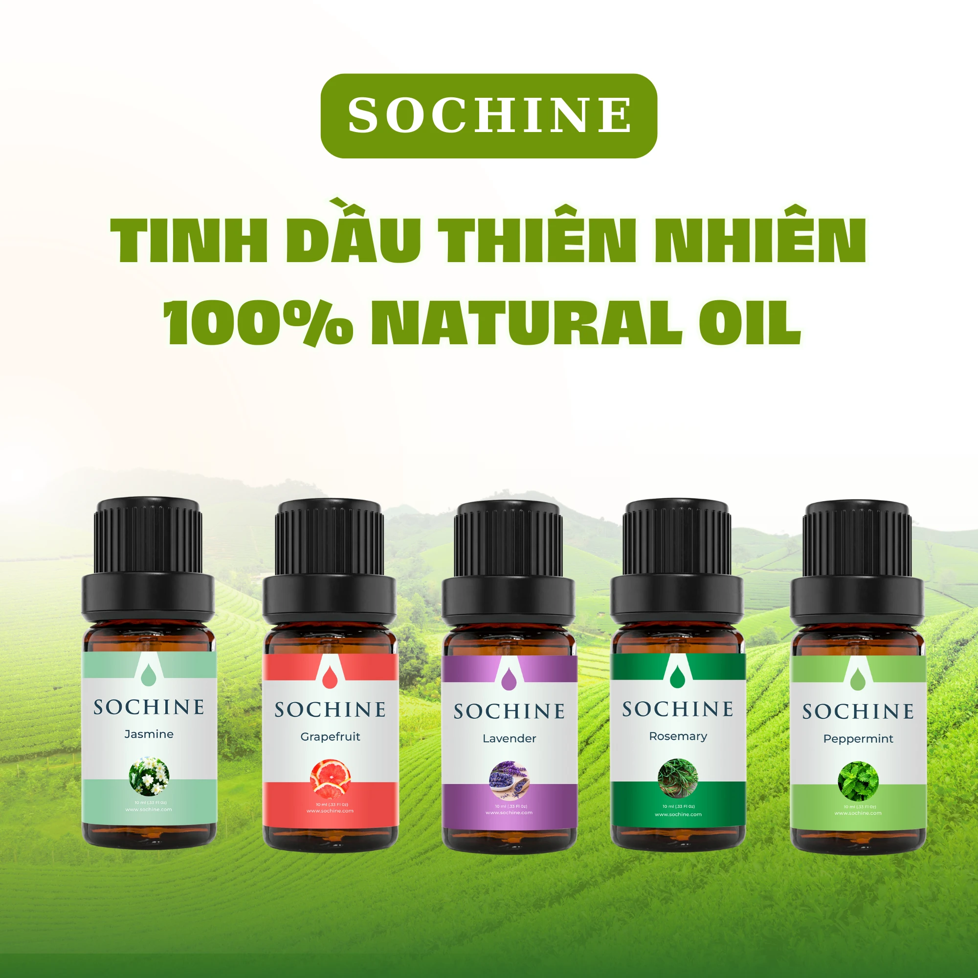 Tinh dầu thiên nhiên Sochine