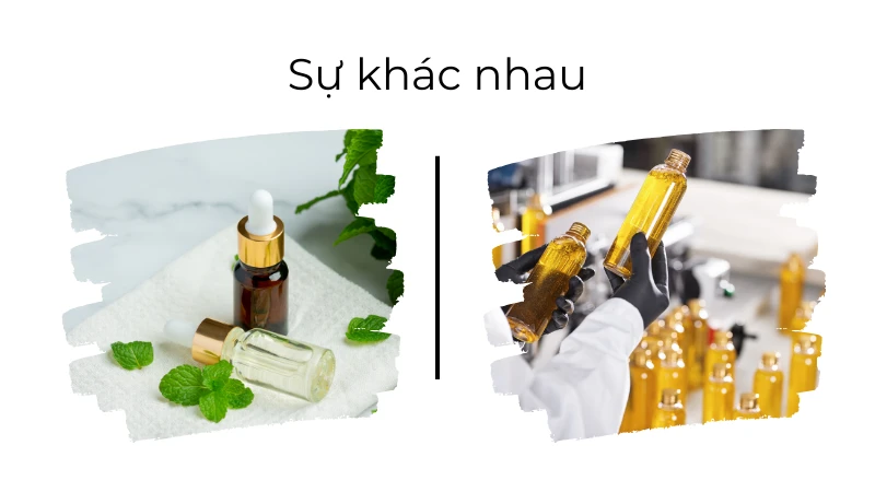 Điểm khác nhau giữa hương liệu tự nhiên và hương liệu tổng hợp