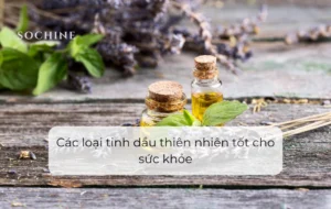 Các loại tinh dầu tốt cho sực khỏe