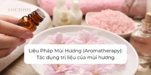 Liệu pháp mùi hương Aromatherapy