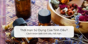 Hạn sử dụng của tinh lầu là bao lâu?