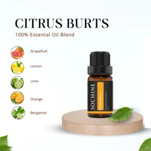 Thành phần Tinh dầu CITRUS BURTS Sochine