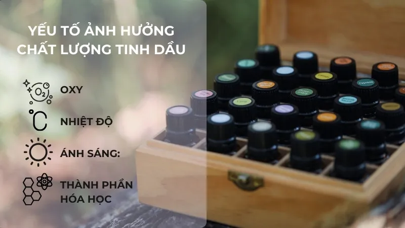 Yếu tố ảnh hưởng đến hạn sử dụng và chất lượng tinh dầu