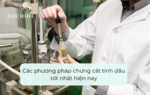 Các phương pháp chưng cất tinh dầu tốt nhất hiện nay