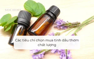 Các tiêu chí chọn mua tinh dầu thơm chất lượng