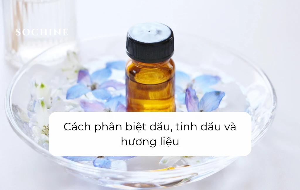 Cách phân biệt dầu, tinh dầu và hương liệu