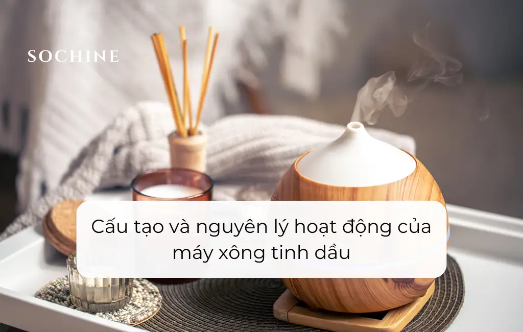 Cấu tạo và nguyên lý hoạt động của máy xông tinh dầu