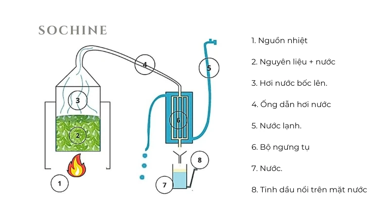 Chưng cất tinh dầu bằng nước