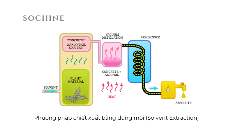 Phương pháp chiết xuất bằng dung môi 