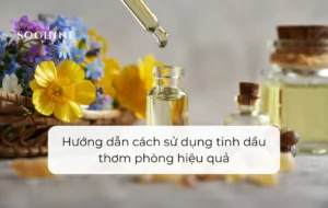 Hướng dẫn cách sử dụng tinh dầu thơm phòng hiệu quả