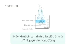 Máy khuếch tán tinh dầu siêu âm là gì Nguyên lý hoạt động (1)