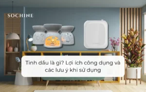 Nên mua đèn xông hay máy khuếch tán tinh dầu sochine