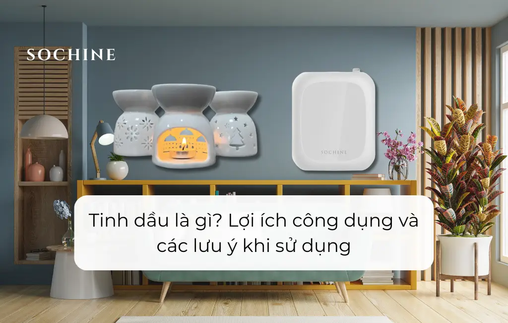 Nên mua đèn xông hay máy khuếch tán tinh dầu sochine