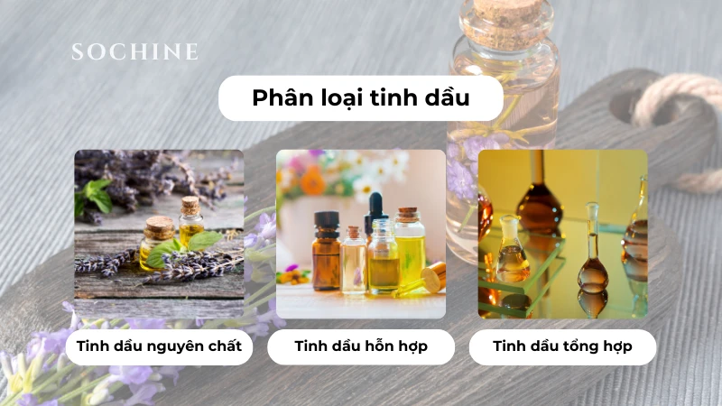 Phân loại tinh dầu