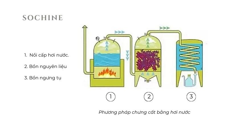 Phương pháp chưng cất tinh dầu bằng hơi nước