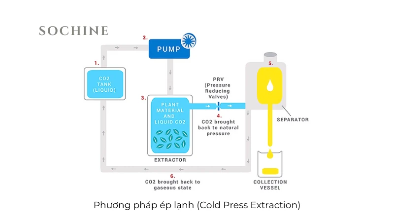 Phương pháp ép lạnh (Cold Press Extraction)