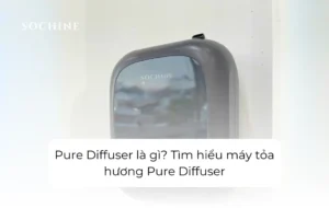 Pure Diffuser là gì