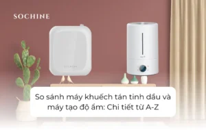 So sánh máy khuếch tán tinh dầu và máy tạo độ ẩm