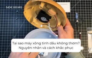 Tại sao máy xông tinh dầu không thơm Nguyên nhân và cách khắc phục