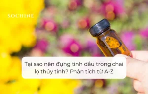 Tại sao nên đựng tinh dầu trong chai lọ thủy tinh Phân tích từ A-Z