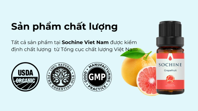 Tại sao nên mua tinh dầu thơm tại Sochine