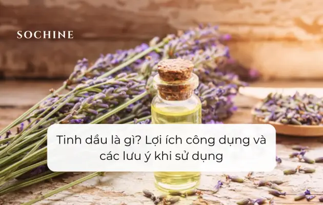 Tinh dầu là gì Lợi ích công dụng và các lưu ý khi sử dụng (1)